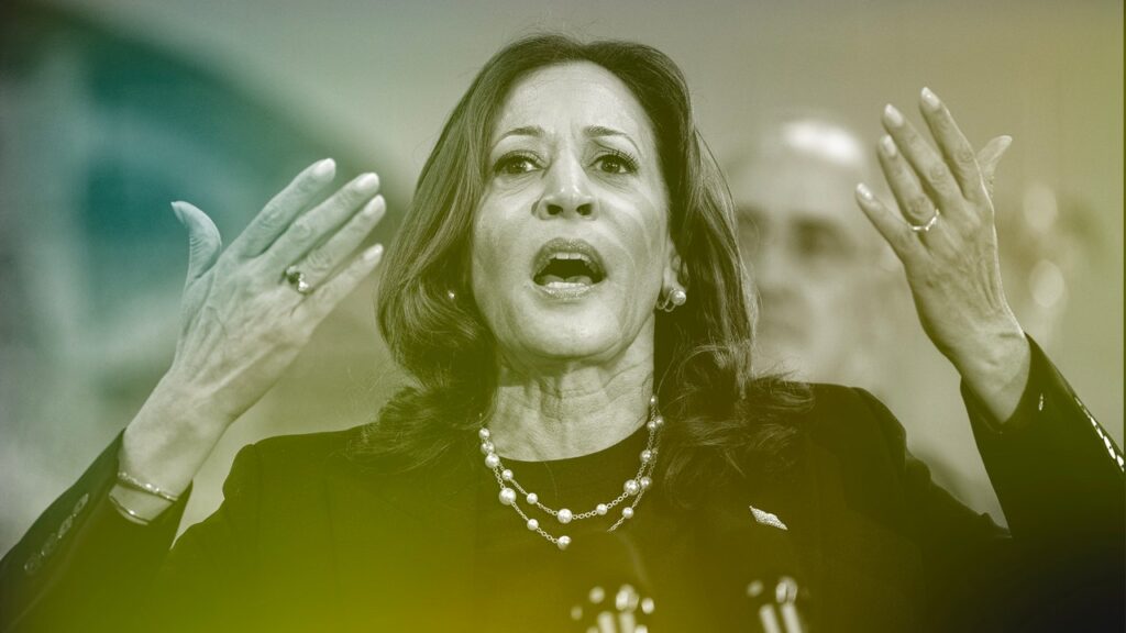 Has Kamala Harris Risen Over Vibecession?